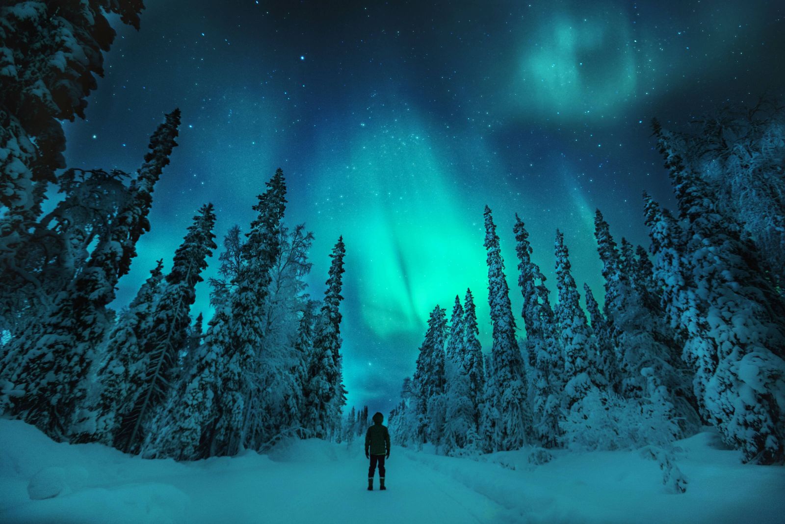 Finland Nature