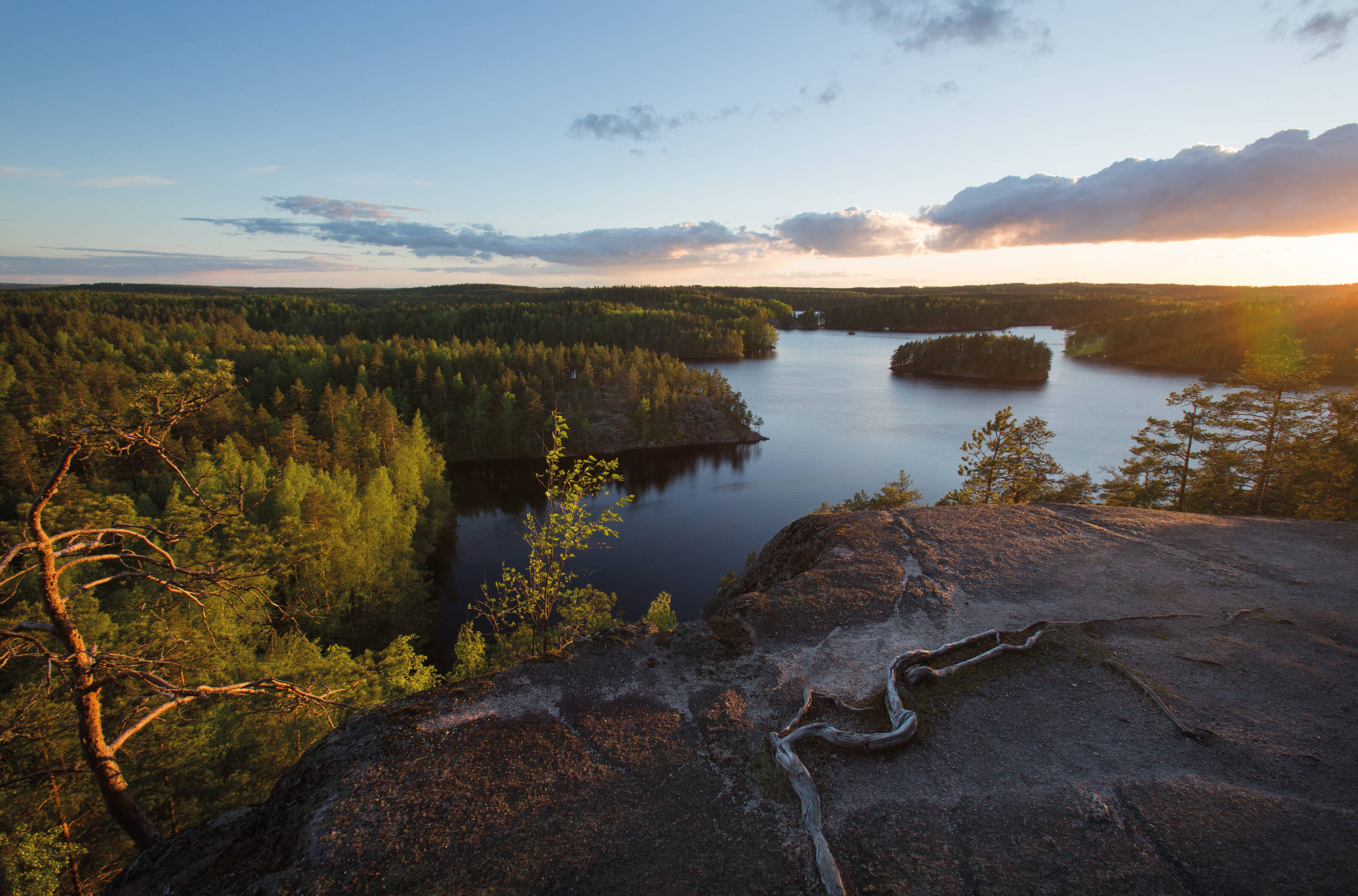 Landschaftsaufnahme der finnischen Seenplatte im Sommer