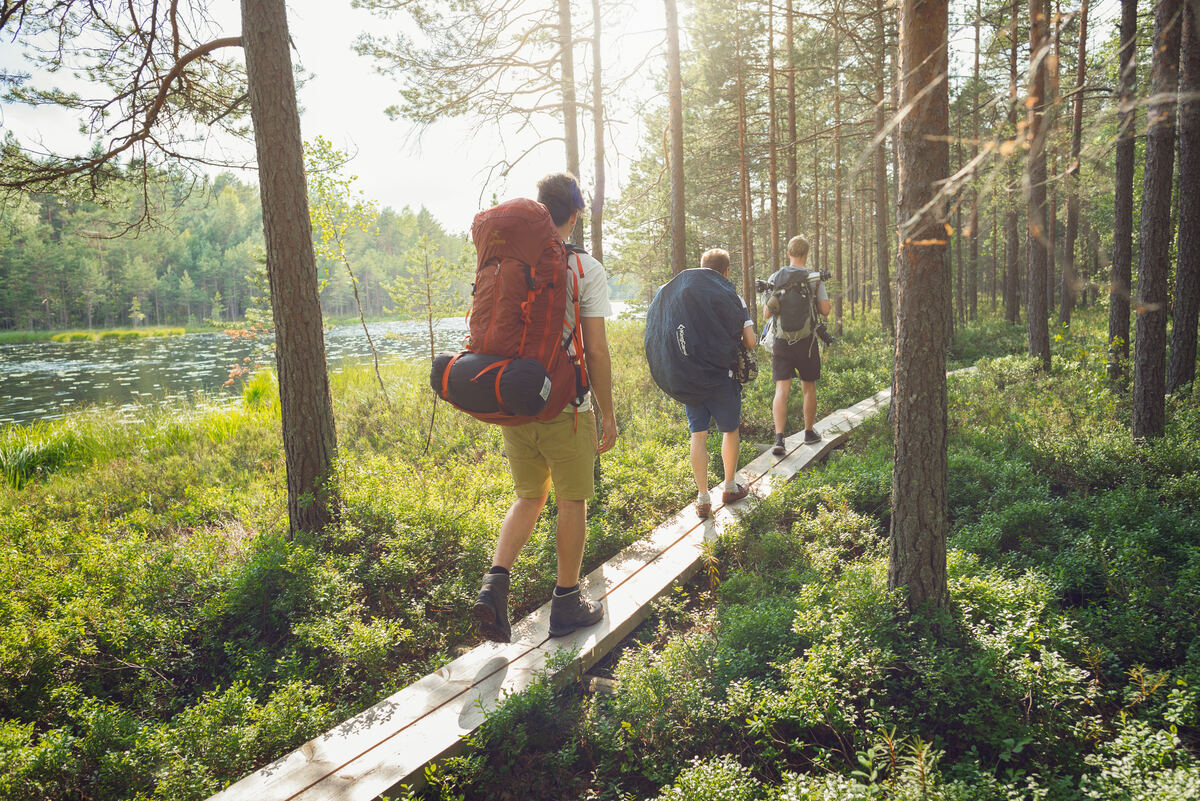 Menschen wandern im Repovesi-Nationalpark in Finnland.