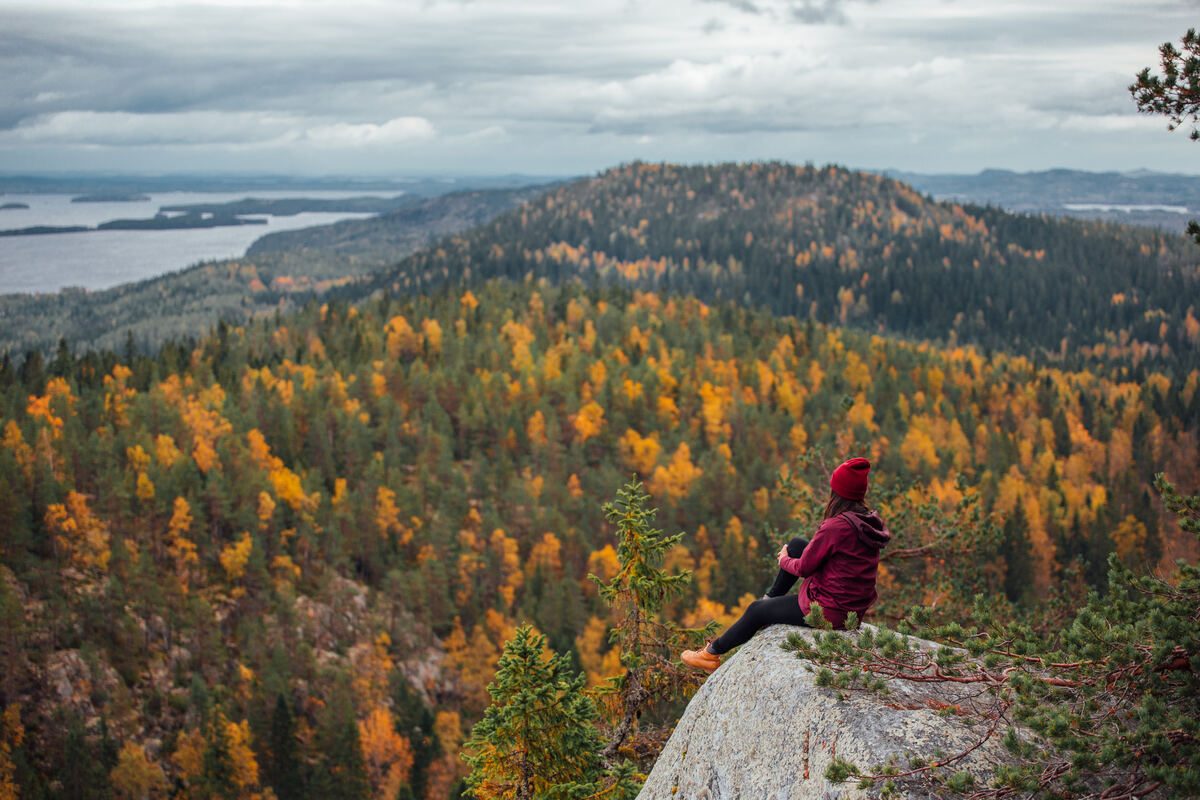 Herbstlaub mit Blick auf den See Pielinen im Nationalpark Koli, Finnland. - Julia Kivelä