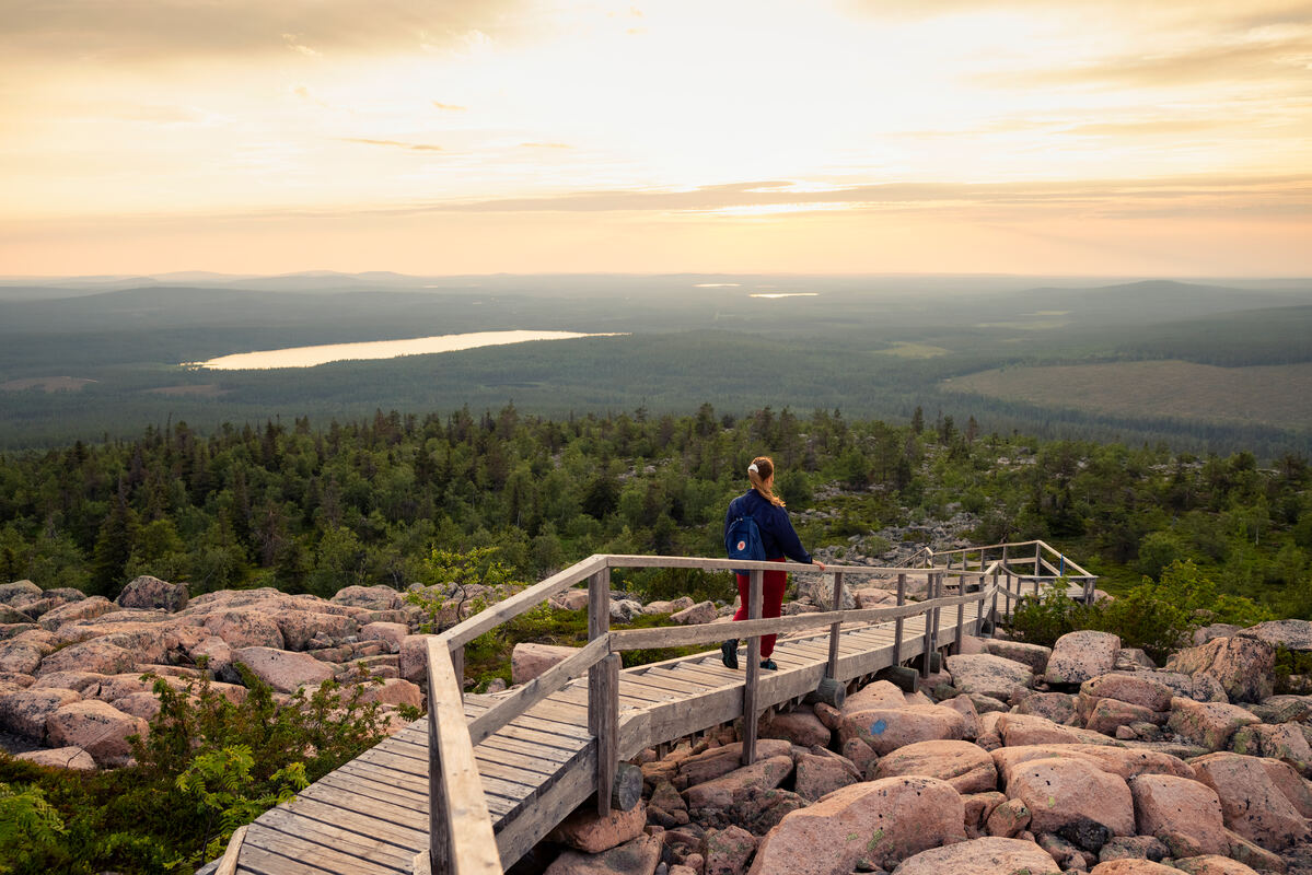 Eine Person bewundert die Landschaft im Nationalpark Salla. - Harri Tarvainen