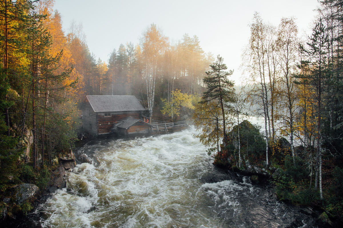 Rapide pittoresche che attraversano il Parco Nazionale di Oulanka. - Julia Kivelä