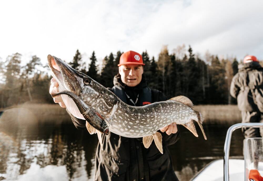 Man hält einen großen Fisch in Finnland.