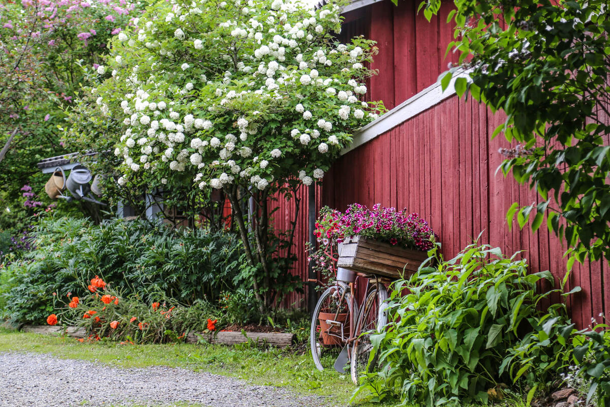 Charmantes rotes Holzhaus in Kristiinankaupunki. - Sanna Wallenius