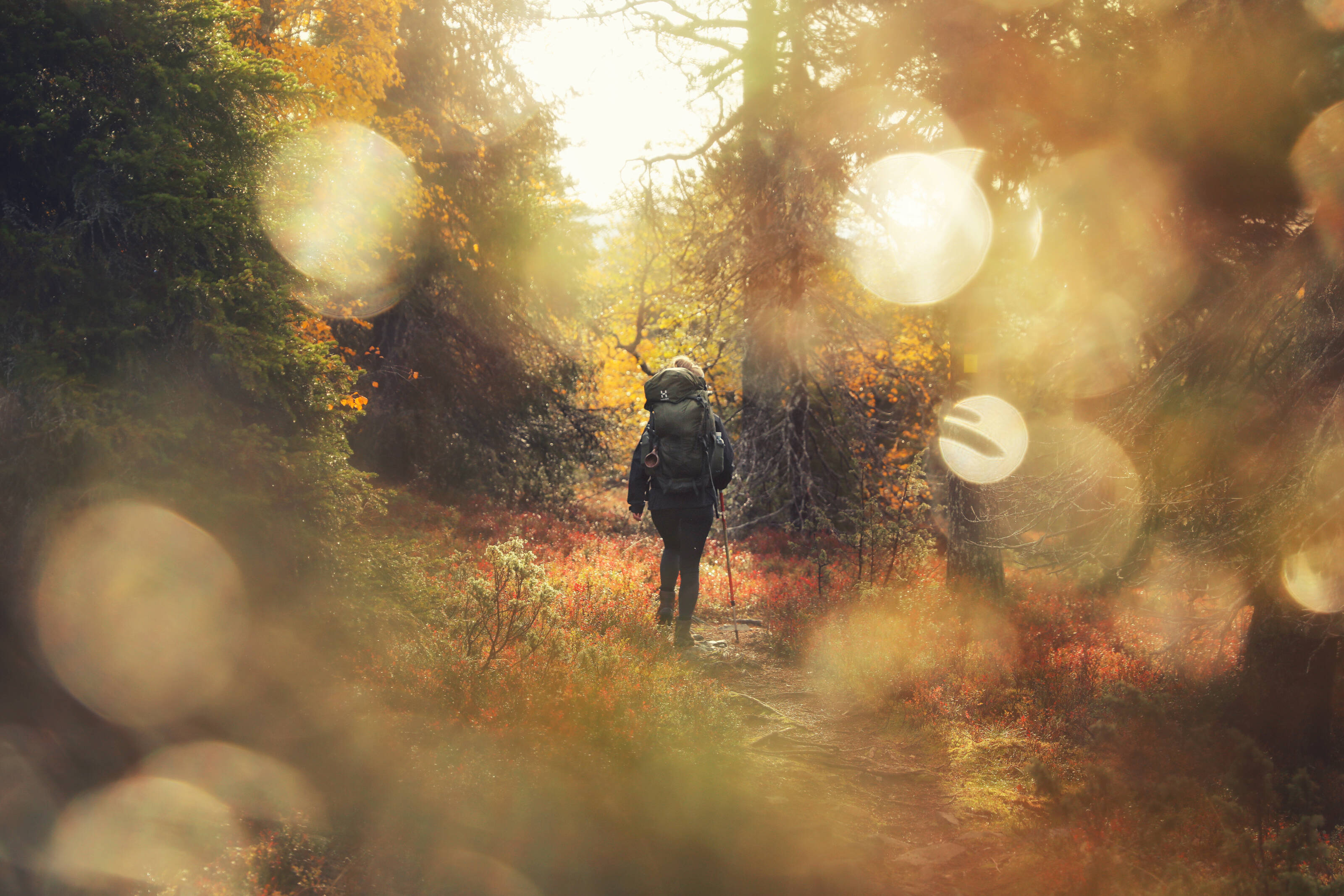 Frau, die mit einem Rucksack auf dem Rücken durch den Wald wandert.