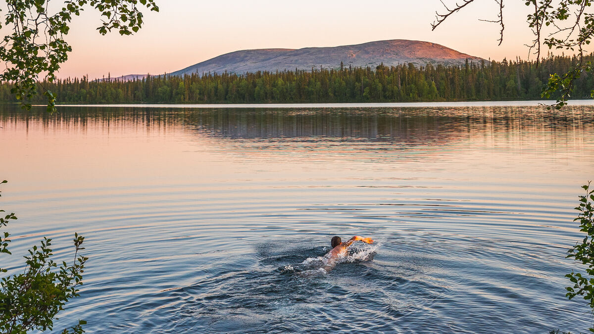 Eine Person schwimmt in einem ruhigen See in Ylläs, beleuchtet vom goldenen Schein der Mitternachtssonne. - Visit Ylläs